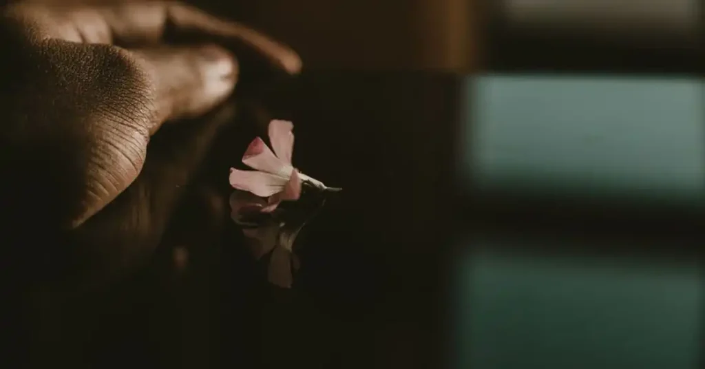sentirsi soli in coppia, un fiore di oleandro rosa poggia su un tavolo | Corpo e anima